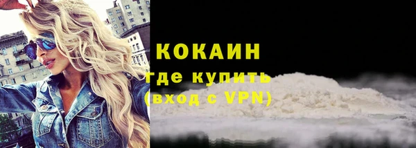 шишки Заволжск