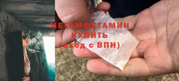 шишки Заволжск