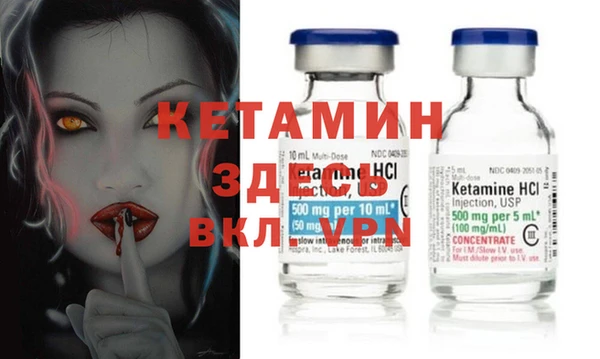 шишки Заволжск