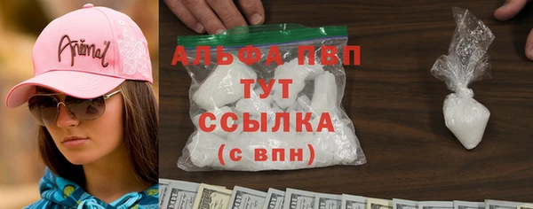 шишки Заволжск