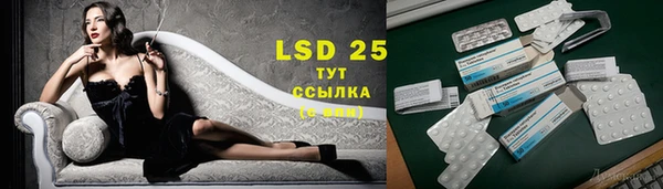 крисы Заводоуковск