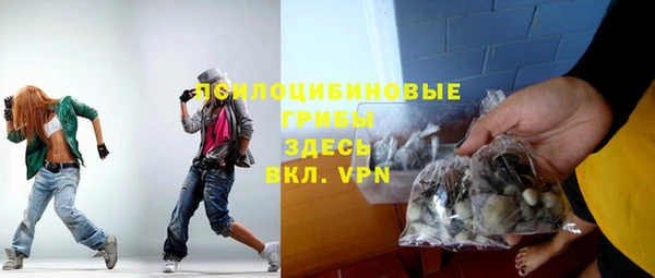 шишки Заволжск