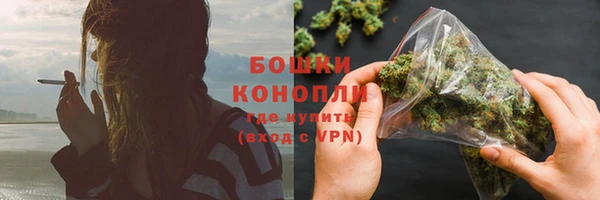 шишки Заволжск