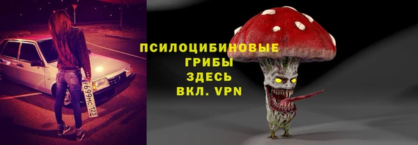 шишки Заволжск