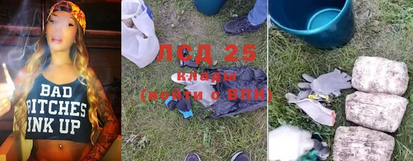 крисы Заводоуковск