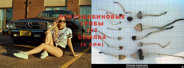 стаф Заволжье