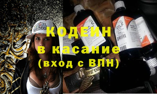 шишки Заволжск