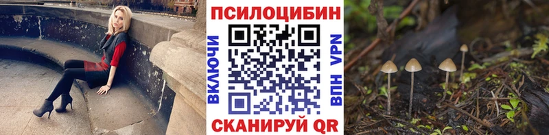 Купить где  Краснокаменск  Галлюциногенные грибы Magic Shrooms 